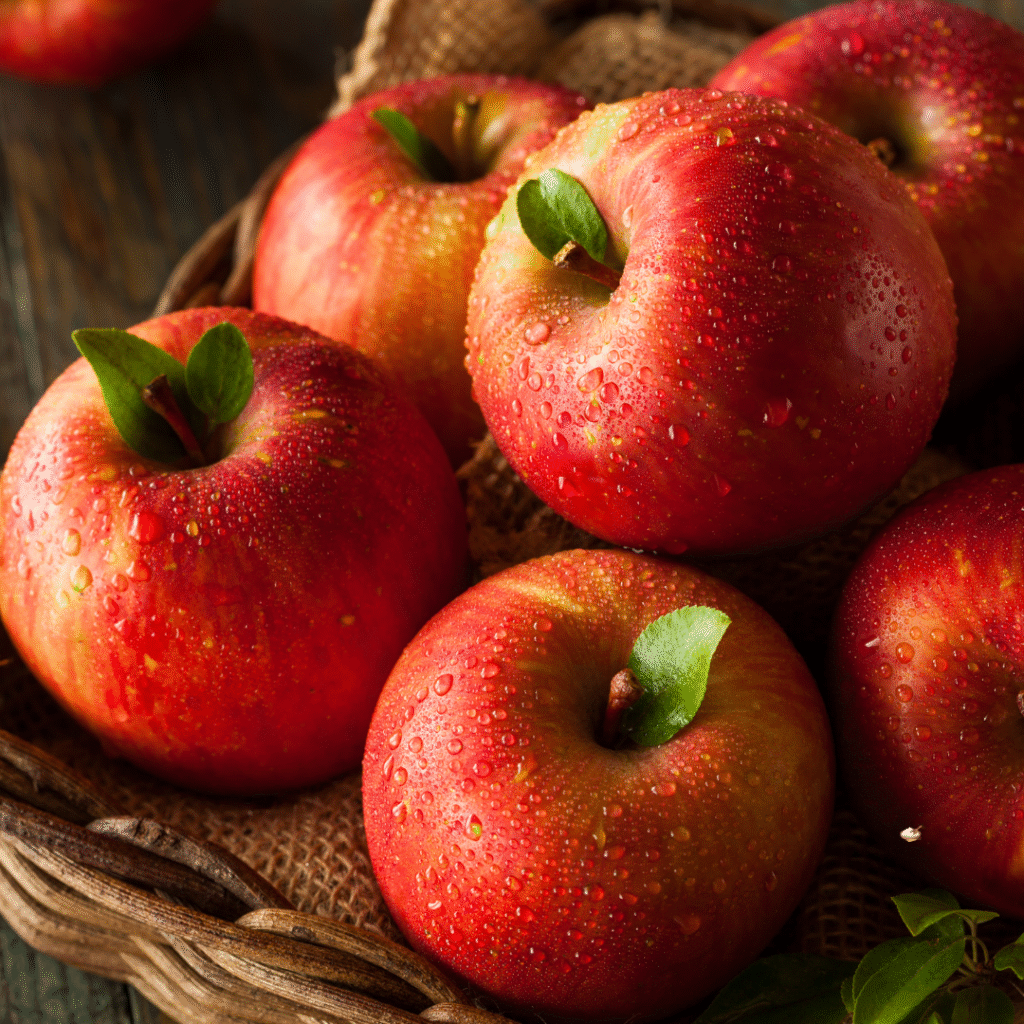 Top Grade Kashmiri Apple Supplier In India